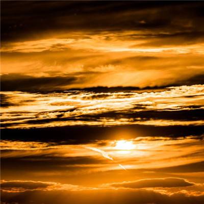 一码一肖100准资料应用下载手机版