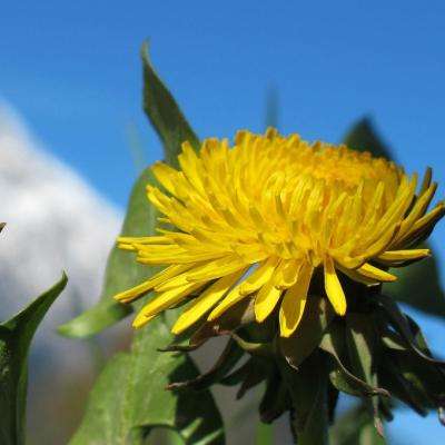 火狐体育APP下载手机版