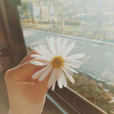 ayx体育在线登录app下载